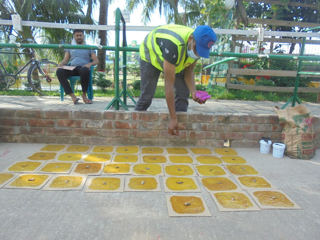 Rodent Control - Tiger Pest Control Co Rat Pest Control Service bd