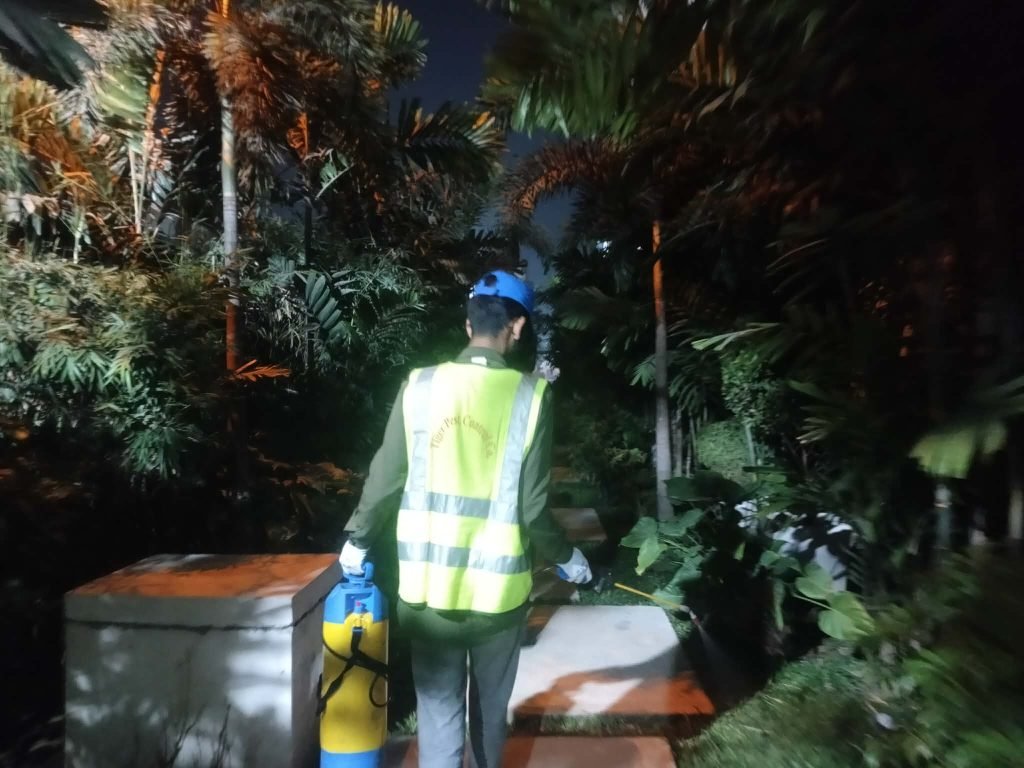 Professional Pest Control in Gazipur | Tiger Pest Control Co.