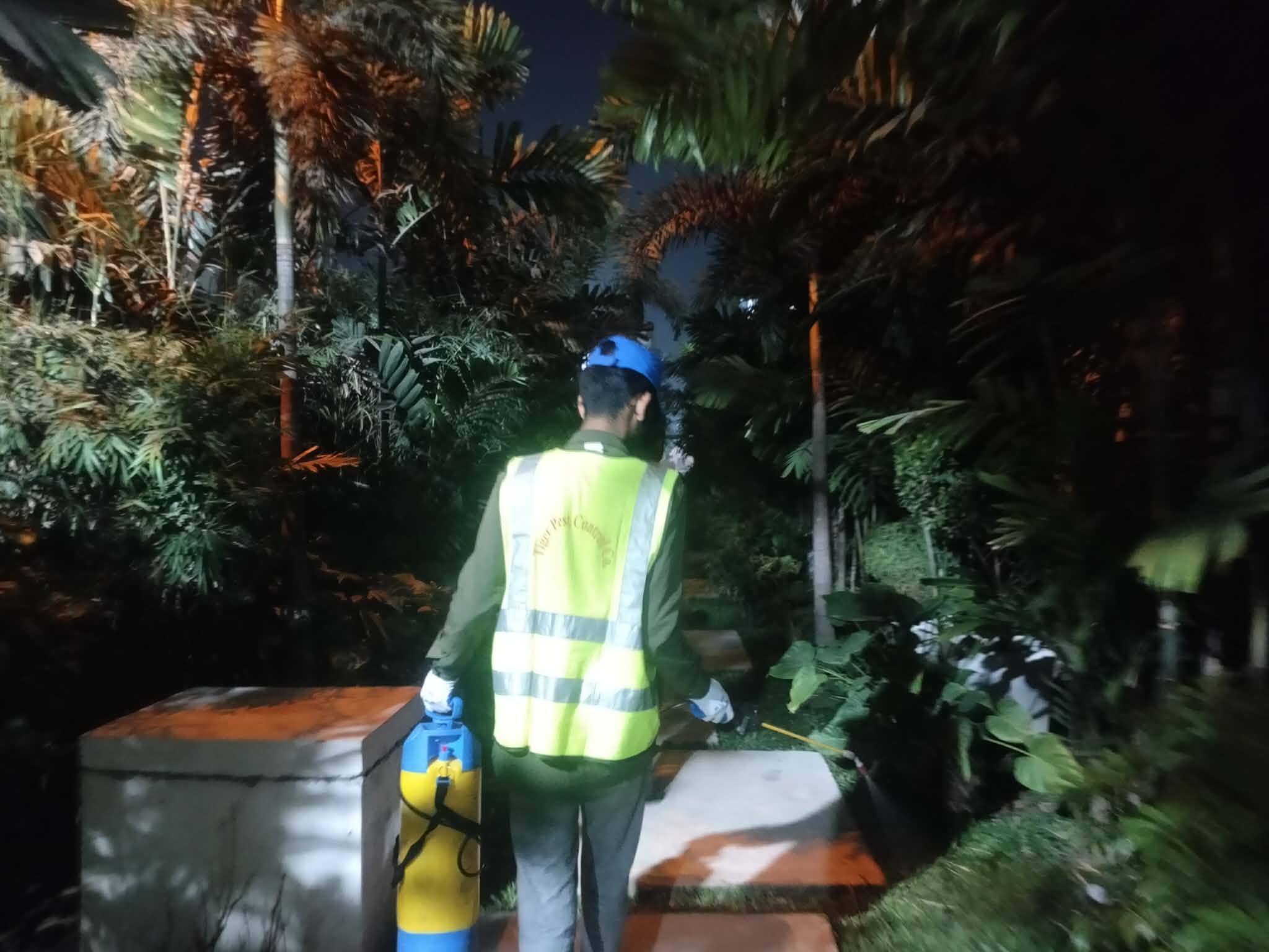 Professional Pest Control in Gazipur | Tiger Pest Control Co.