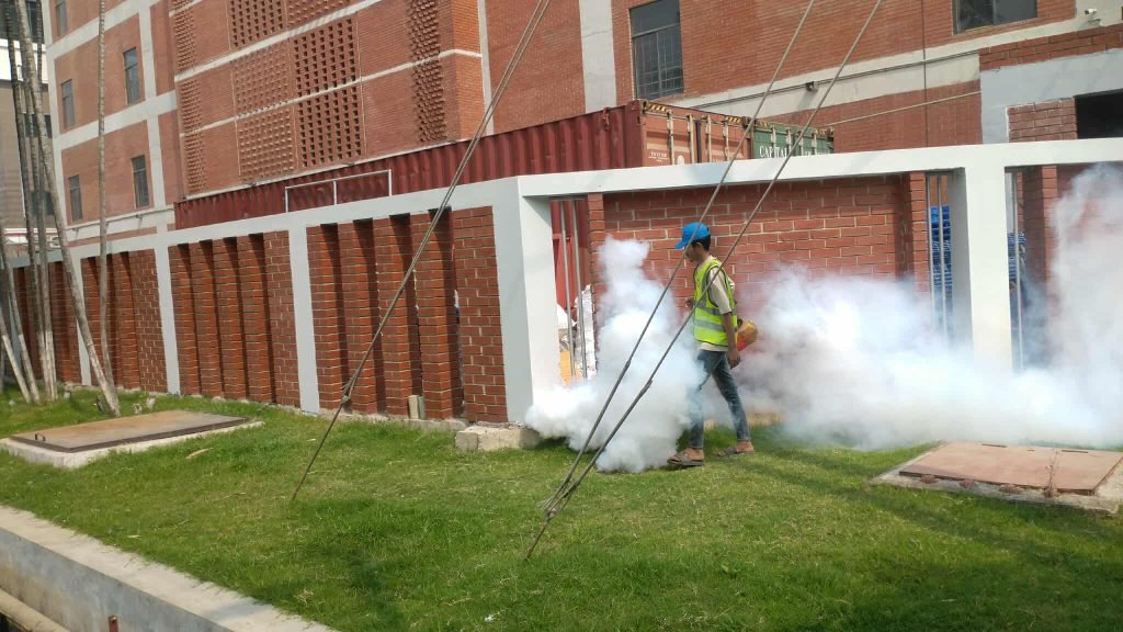 Professional Pest Control Services in Motijheel | Tiger Pest Control Services