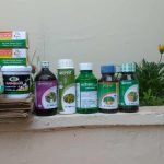 Effective Pest Control Services in Banani| Tiger Pest Control Services