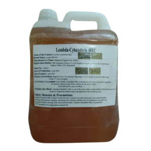 Untitled design (10)