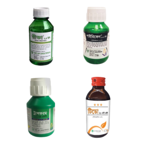 Untitled design (14)