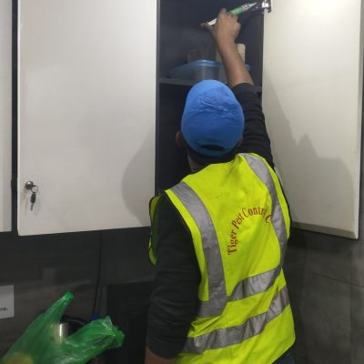 611601308_1421790366320134_5684958089315516312_n